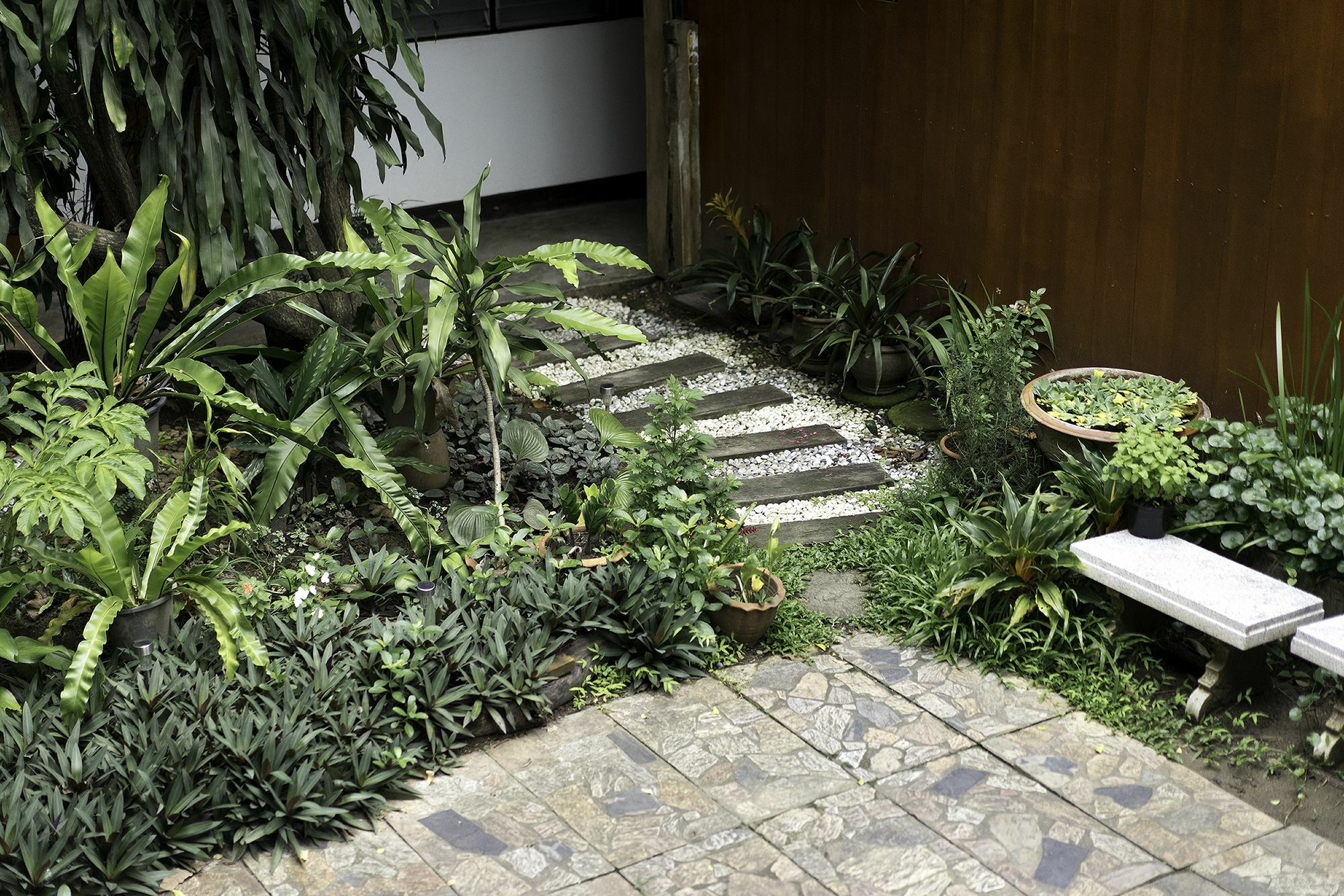 Sarah Guest House Τσιάνγκ Μάι Εξωτερικό φωτογραφία